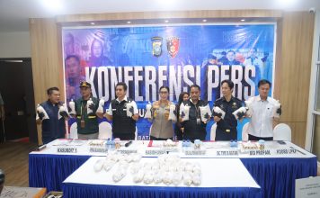 Ditreskrimsus Polda Kepri Berhasil Ungkap Penyeludupan 100 Ribu Benih Bening Lobster ke Luar Negeri