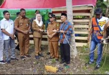 Cen Sui Lan Serahkan Sapi Kurban Bantuan Presiden untuk Masyarakat Pulau Laut