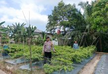 Bhabinkamtibmas Bukit Kapur Bersama Petani Cek Pekarangan Pangan Bergizi
