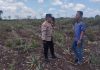 Beri Motivasi kepada Petani, Bhabinkamtibmas Polsek Bukit Batu Sambangi Kebun Nenas