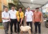 HKBP Batam Centre dan Semangat Toleransi: Berqurban untuk Sesama di Kota Batam