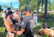 PTPN IV Regional VI Unit Kebun Baru Sembelih 8 Hewan Qurban, Ukhuwah dan Kepedulian Menguat di Idul Adha 1447 H