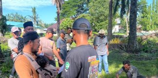 PTPN IV Regional VI Unit Kebun Baru Sembelih 8 Hewan Qurban, Ukhuwah dan Kepedulian Menguat di Idul Adha 1447 H