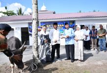 Danlanud RSA Natuna Serahkan Enam Ekor Sapi Qurban di Masjid Mina untuk Warga Sekitar dan Yayasan Anak Yatim