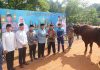 Polda Kepri Gelar Pemotongan Hewan Kurban, Perkuat Kepedulian Sosial di Idul Adha 1447 H