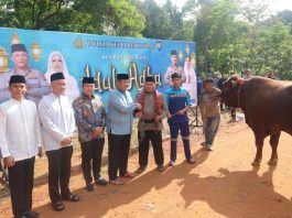 Polda Kepri Gelar Pemotongan Hewan Kurban, Perkuat Kepedulian Sosial di Idul Adha 1447 H
