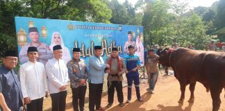Polda Kepri Gelar Pemotongan Hewan Kurban, Perkuat Kepedulian Sosial di Idul Adha 1447 H