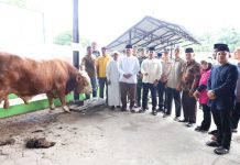 Bupati Asahan Saksikan Penyembelihan Sapi Bantuan Presiden di Kecamatan Air Batu