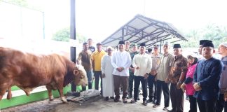 Bupati Asahan Saksikan Penyembelihan Sapi Bantuan Presiden di Kecamatan Air Batu