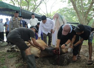 Pemkab Asahan Sembelih 101 Hewan Qurban pada Idul Adha 1447 H