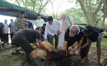 Pemkab Asahan Sembelih 101 Hewan Qurban pada Idul Adha 1447 H