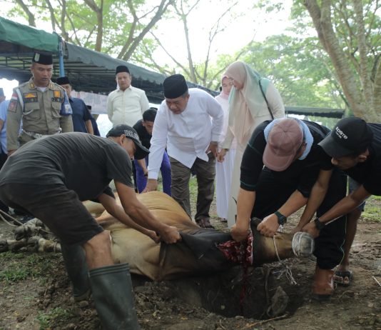 Pemkab Asahan Sembelih 101 Hewan Qurban pada Idul Adha 1447 H