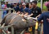 BP Batam Sembelih 33 Hewan Kurban, Wujudkan Semangat Berbagi di Hari Raya Idul Adha