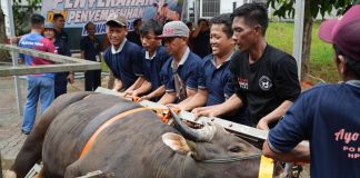 BP Batam Sembelih 33 Hewan Kurban, Wujudkan Semangat Berbagi di Hari Raya Idul Adha