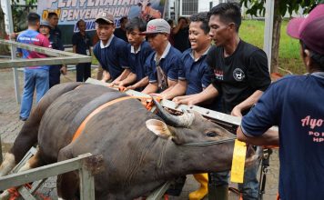 BP Batam Sembelih 33 Hewan Kurban, Wujudkan Semangat Berbagi di Hari Raya Idul Adha