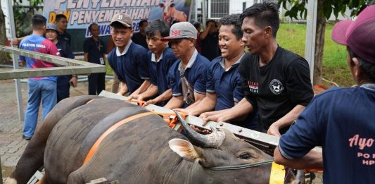 BP Batam Sembelih 33 Hewan Kurban, Wujudkan Semangat Berbagi di Hari Raya Idul Adha