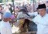Pemko Payakumbuh Gelar Penyembelihan Hewan Qurban Banmas Presiden Prabowo Subianto di Masjid Al-Mutawahidah