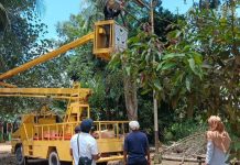 Roby Kurniawan Komitmen Tingkatkan PJU di Bintan, Demi Keselamatan dan Kenyamanan Warga