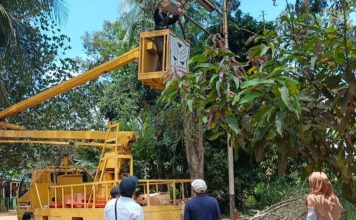 Roby Kurniawan Komitmen Tingkatkan PJU di Bintan, Demi Keselamatan dan Kenyamanan Warga