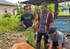 Kantor SAR Natuna Hangatkan Momen Idul Adha 1447 H dengan Pelaksanaan Qurban 2 Ekor Sapi