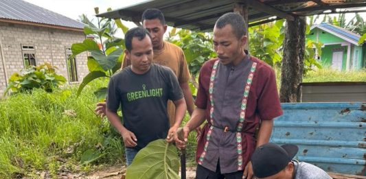 Kantor SAR Natuna Hangatkan Momen Idul Adha 1447 H dengan Pelaksanaan Qurban 2 Ekor Sapi