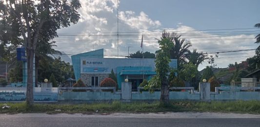 Gangguan Empat Mesin Pembangkit, PLN Natuna Terapkan Pemadaman Bergilir saat Beban Puncak