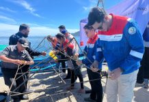 Pertamina Patra Niaga IT Teluk Kabung Laksanakan Transplantasi Terumbu Karang di Pulau Pasumpahan Peringati Hari Lingkungan Hidup Sedunia