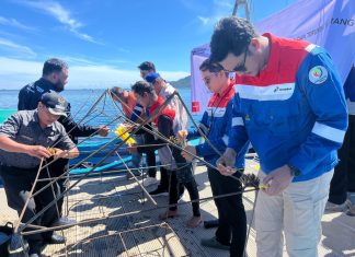 Pertamina Patra Niaga IT Teluk Kabung Laksanakan Transplantasi Terumbu Karang di Pulau Pasumpahan Peringati Hari Lingkungan Hidup Sedunia