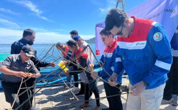 Pertamina Patra Niaga IT Teluk Kabung Laksanakan Transplantasi Terumbu Karang di Pulau Pasumpahan Peringati Hari Lingkungan Hidup Sedunia