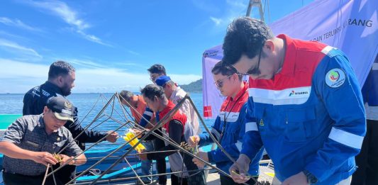 Pertamina Patra Niaga IT Teluk Kabung Laksanakan Transplantasi Terumbu Karang di Pulau Pasumpahan Peringati Hari Lingkungan Hidup Sedunia