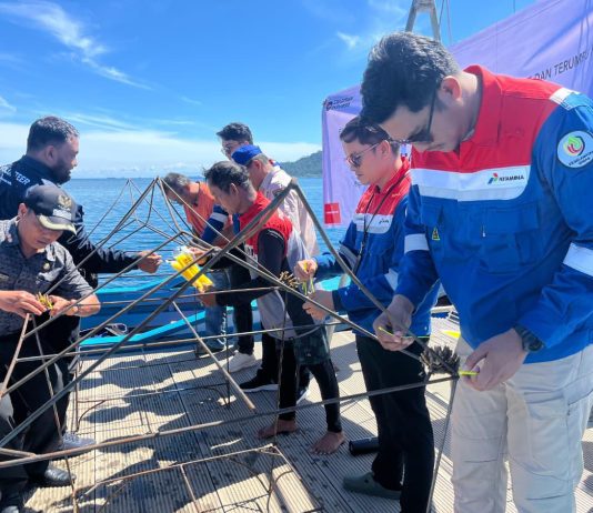 Pertamina Patra Niaga IT Teluk Kabung Laksanakan Transplantasi Terumbu Karang di Pulau Pasumpahan Peringati Hari Lingkungan Hidup Sedunia