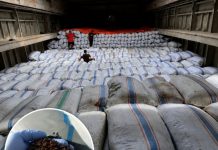 Cengkeh Natuna Tembus Pasar Nasional, 188,7 Ton Siap Pasok Industri di Semarang