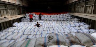Cengkeh Natuna Tembus Pasar Nasional, 188,7 Ton Siap Pasok Industri di Semarang