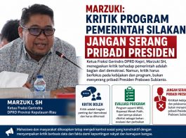 Marzuki: Kritik Program Pemerintah Silakan, Jangan Serang Pribadi Presiden