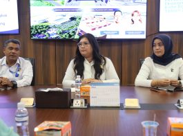 Penataan UMKM Mega Legenda: BP Batam Beri Tenggat hingga Akhir Tahun