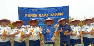 Wabup Asahan Hadiri Panen Raya Jagung di Lapas Minimum Security, Dukung Ketahanan Pangan Nasional