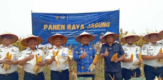 Wabup Asahan Hadiri Panen Raya Jagung di Lapas Minimum Security, Dukung Ketahanan Pangan Nasional
