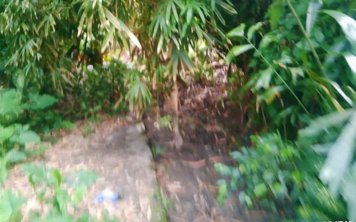 IMG-20260617-WA0180