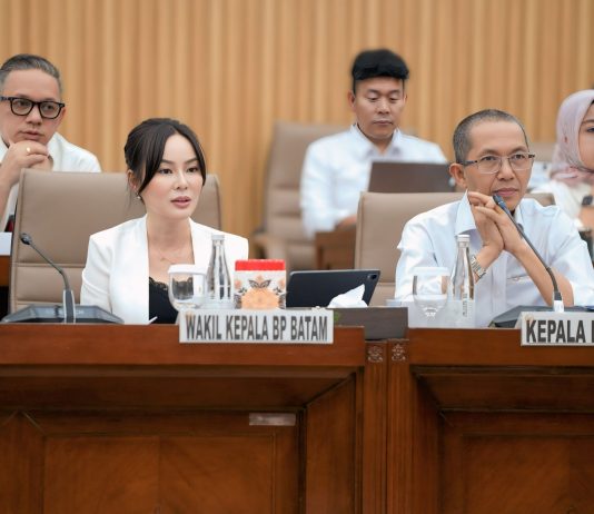 Realisasi PNBP Meningkat, Kinerja Keuangan BP Batam Makin Optimal