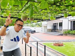Bosan Teras Rumah Terasa Gerah? Coba Pasang “Kanopi Hidup” Ini!