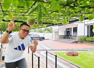 Bosan Teras Rumah Terasa Gerah? Coba Pasang “Kanopi Hidup” Ini!