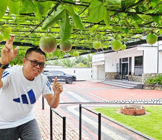 Bosan Teras Rumah Terasa Gerah? Coba Pasang “Kanopi Hidup” Ini!