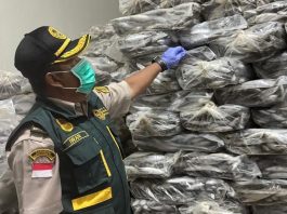 Karantina Kepri Terbitkan KI-2 untuk 290 Ton Ikan Natuna, Perdagangan Perikanan Kian Bergairah