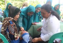 Ketua TP PKK Asahan Tinjau Sejumlah Posyandu, Pastikan Kualitas Pelayanan Kesehatan Masyarakat
