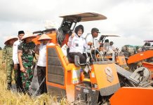Panen Perdana Padi Zakat Produktif di Siak, Mustahik Didorong Menjadi Petani Mandiri