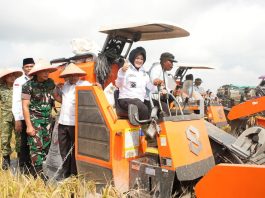 Panen Perdana Padi Zakat Produktif di Siak, Mustahik Didorong Menjadi Petani Mandiri