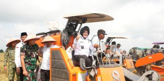 Panen Perdana Padi Zakat Produktif di Siak, Mustahik Didorong Menjadi Petani Mandiri