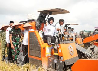 Panen Perdana Padi Zakat Produktif di Siak, Mustahik Didorong Menjadi Petani Mandiri