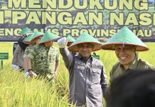 Hadiri Panen Raya TNI di Siak Kecil, Wabup Bagus Santoso Tegaskan Komitmen Bengkalis Dukung Ketahanan Pangan Nasional