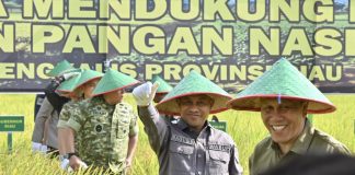 Hadiri Panen Raya TNI di Siak Kecil, Wabup Bagus Santoso Tegaskan Komitmen Bengkalis Dukung Ketahanan Pangan Nasional